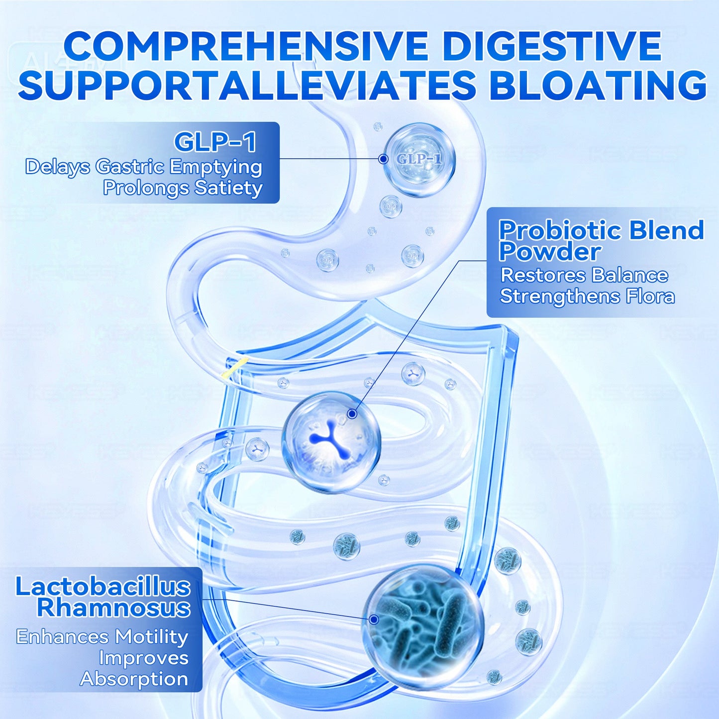 𝑲𝒆𝒚𝒆𝒔𝒔® 𝑮𝑳𝑷-1 𝑷𝒓𝒐𝒃𝒊𝒐𝒕𝒊𝒄 𝑭𝒖𝒍𝒍-𝑩𝒐𝒅𝒚 𝑺𝒄𝒖𝒍𝒑𝒕𝒊𝒏𝒈 & 𝑯𝒆𝒂𝒍𝒕𝒉 𝑩𝒐𝒐𝒔𝒕 𝑳𝒊𝒕𝒕𝒍𝒆 𝑩𝒍𝒖𝒆 𝑱𝒂𝒓 🌹