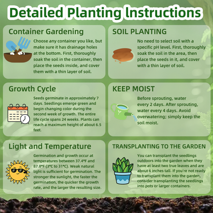 SVASP® Enchanted Rapid-Grow Hosta🌱#Cold-Resistant #Fast-Growing #Easy to Grow #Pest & Disease Resistant🌟