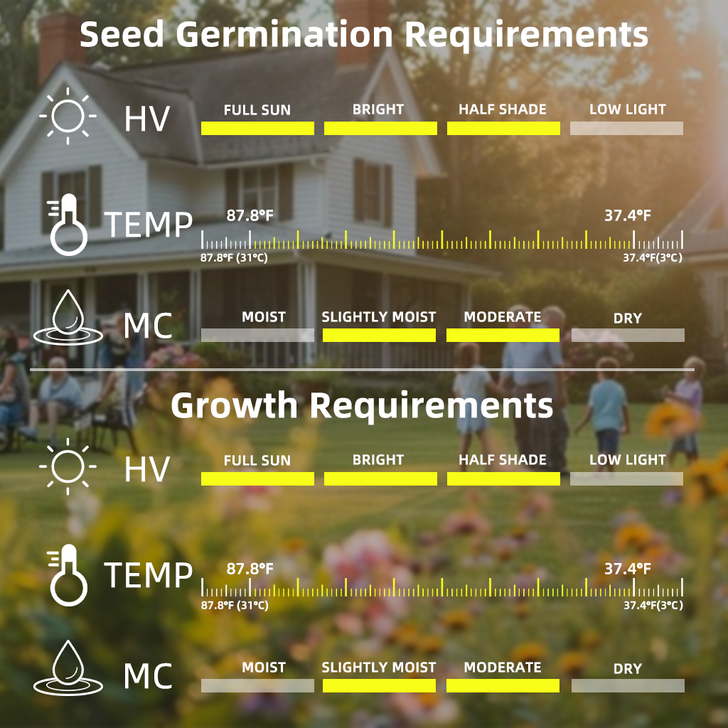 SVASP® Enchanted Rapid-Grow Hosta🌱#Cold-Resistant #Fast-Growing #Easy to Grow #Pest & Disease Resistant🌟