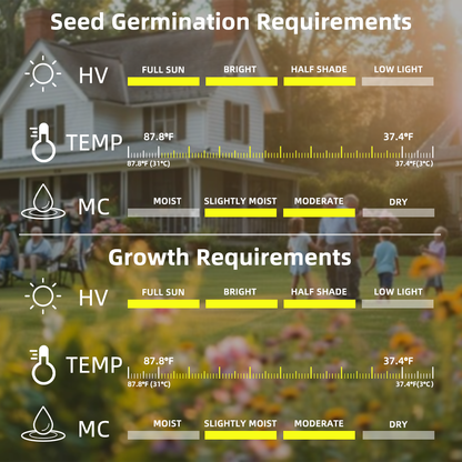 SVASP® Enchanted Rapid-Grow Hosta🌱#Cold-Resistant #Fast-Growing #Easy to Grow #Pest & Disease Resistant🌟
