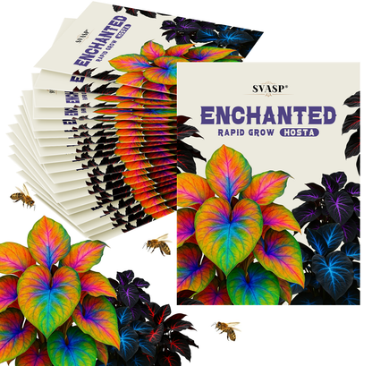 SVASP® Enchanted Rapid-Grow Hosta🌱#Cold-Resistant #Fast-Growing #Easy to Grow #Pest & Disease Resistant🌟